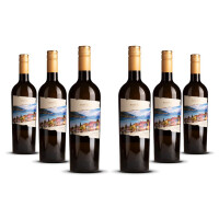 Biscardo Bianco di Custoza 2024er Veneto (6 x 0,75l)