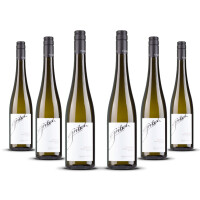 Gritsch Grüner Veltliner Smaragd Steinporz 2023er Nieder Österreich (6 x 0,75l)
