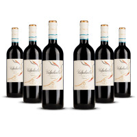 Antiche Terre Venete Valpolicella Superiore 2021er Veneto (6 x 0,75l)