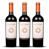 Caliterra Tributo Carmenère 2023er Colchagua Valley (3 x 0,75l)