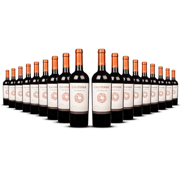 Caliterra Tributo Carmenère 2023er Colchagua Valley (18 x 0,75l)