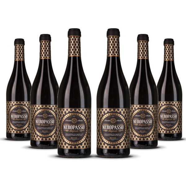 Neropasso Rosso IGT Veneto 2022er Veneto (6 x 0,75l)