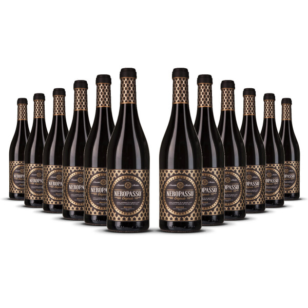 Neropasso Rosso IGT Veneto 2022er Veneto (12 x 0,75l)