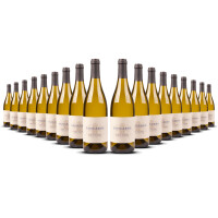 Domaine Salmon Sancerre Blanc 2024er Loire (18 x 0,75l)