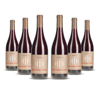 Tramin Pinot Nero Alto Adige 2024er Trentino-Alto Adige (6 x 0,75l)