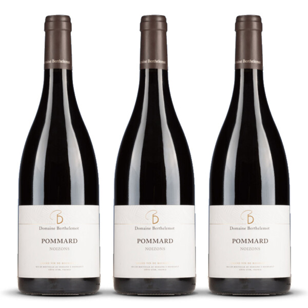 Berthelemot Pommard Noizons Rouge (bio) 2022er Burgund (3 x 0,75l)