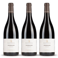 Berthelemot Pommard Noizons Rouge (bio) 2022er Burgund (3 x 0,75l)