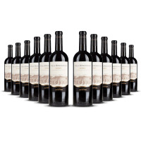 Tenuta Argentiera Villa Donoratico - Bolgheri DOC Rosso 2021er Toskana (12 x 0,75l)