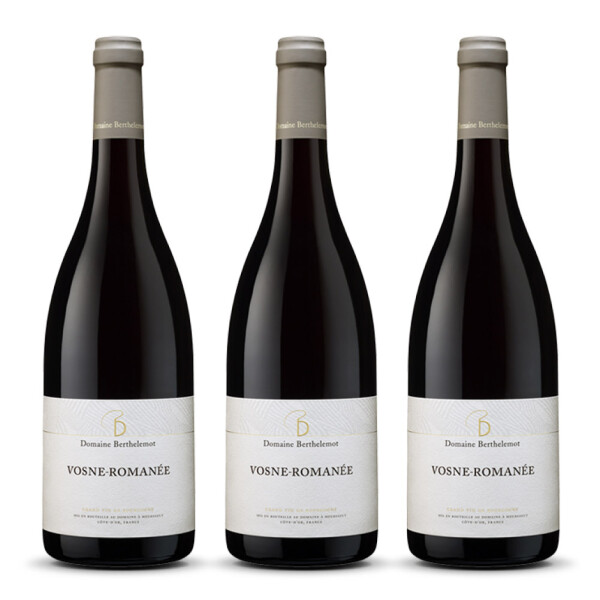 Domaine Berthelemot Vosne Romanée Rouge (bio) 2023er Burgund (3 x 0,75l)