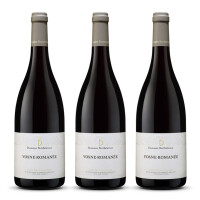 Domaine Berthelemot Vosne Romanée Rouge (bio) 2023er Burgund (3 x 0,75l)