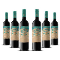 Invidious Tempranillo-Syrah VdT Castilla 2024er Kastilien-La Mancha (6 x 0,75l)