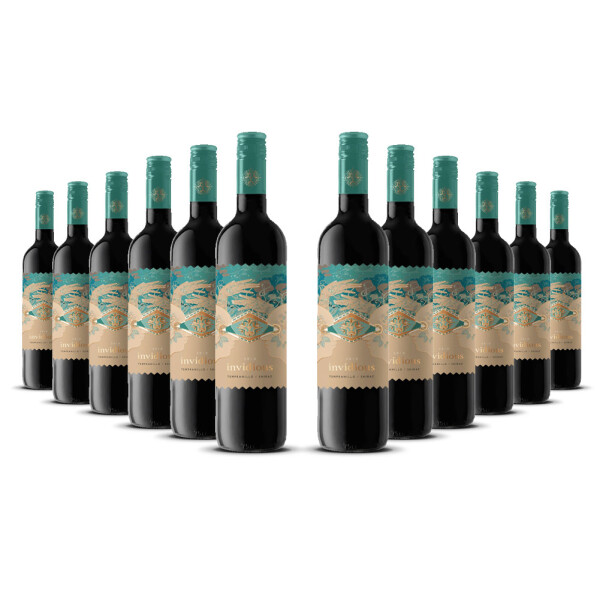 Invidious Tempranillo-Syrah VdT Castilla 2024er Kastilien-La Mancha (12 x 0,75l)