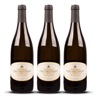 Domaine Salmon Pouilly Fumé 2024er Loire (3 x 0,75l)