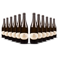 Domaine Salmon Pouilly Fumé 2024er Loire (12 x 0,75l)
