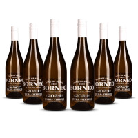 Borneo Viura / Verdejo Vino dEspana 2024er  (6 x 0,75l)