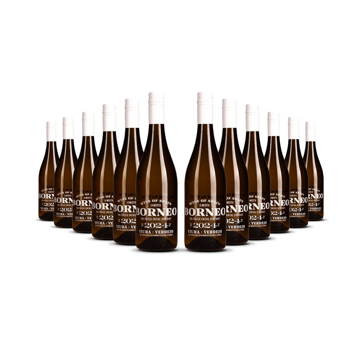 Borneo Viura / Verdejo Vino dEspana 2024er  (12 x 0,75l)