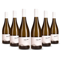 Alpine Rift Sauvignon Blanc 2024er Marlborough (6 x 0,75l)
