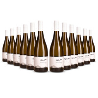 Alpine Rift Sauvignon Blanc 2024er Marlborough (12 x 0,75l)