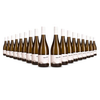 Alpine Rift Sauvignon Blanc 2024er Marlborough (18 x 0,75l)