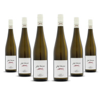 Josef Dockner Krems Grüner Veltliner 2024er Kremstal (6 x 0,75l)