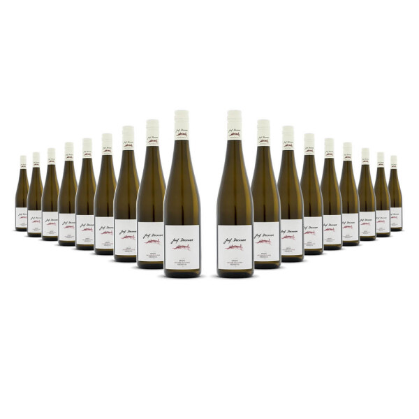 Josef Dockner Krems Grüner Veltliner 2024er Kremstal (18 x 0,75l)