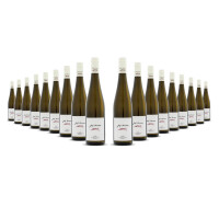 Josef Dockner Krems Grüner Veltliner 2024er Kremstal (18 x 0,75l)