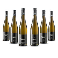 Josef Dockner Grüner Veltliner Ried Himmelreich 2024er Kremstal (6 x 0,75l)