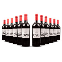 Terrai OVG Garnacha 2022er Cariñena (12 x 0,75l)
