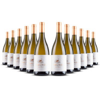 Paul Mas Grande Réserve Chardonnay 2024er Süd-Frankreich (12 x 0,75l)