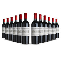 Château Angludet Margaux 2022er Bordeaux (12 x 0,75l)