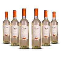 Cielo Chardonnay IGT Veneto 2024er Veneto (6 x 0,75l)