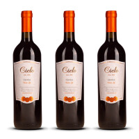 Cielo Merlot IGT Veneto 2023er Veneto (3 x 0,75l)