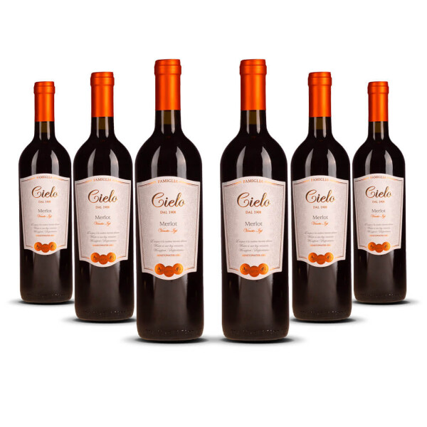 Cielo Merlot IGT Veneto 2023er Veneto (6 x 0,75l)