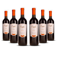 Cielo Merlot IGT Veneto 2023er Veneto (6 x 0,75l)