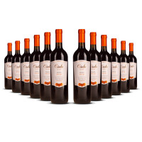 Cielo Merlot IGT Veneto 2023er Veneto (12 x 0,75l)