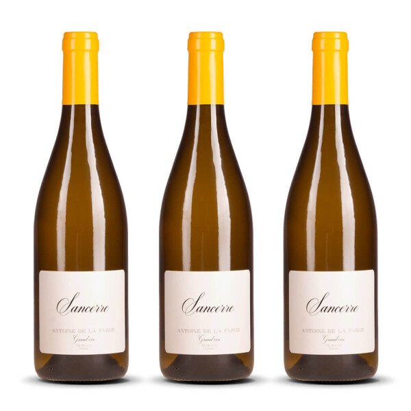 Antoine de la Farge Sancerre Blanc 2024er Loire (3 x 0,75l)