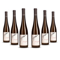 Gritsch Riesling 1000 Eimerberg 2024er Nieder Österreich (6 x 0,75l)