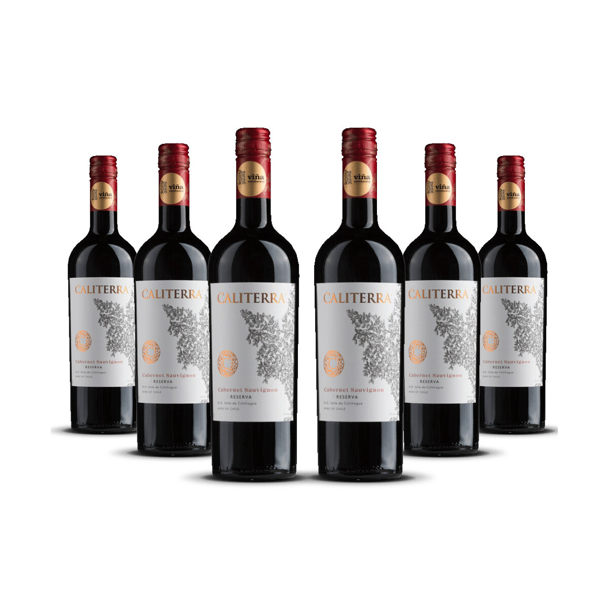 Caliterra Reserva Cabernet Sauvignon 2023er Colchagua...
