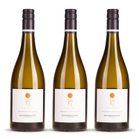 Mount Riley 17 Valley Sauvignon Blanc 2024er Marlborough (3 x 0,75l)