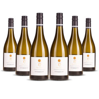 Mount Riley 17 Valley Sauvignon Blanc 2024er Marlborough (6 x 0,75l)
