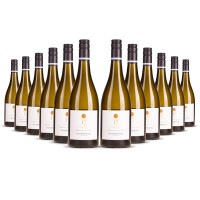 Mount Riley 17 Valley Sauvignon Blanc 2024er Marlborough (12 x 0,75l)
