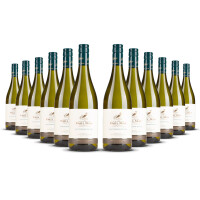 Paul Mas Classique Sauvignon Blanc 2024er Süd-Frankreich (12 x 0,75l)