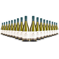 Paul Mas Classique Sauvignon Blanc 2024er Süd-Frankreich (18 x 0,75l)