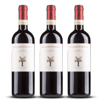 Poggiotondo Chianti DOCG (bio) 2024er Toskana (3 x 0,75l)
