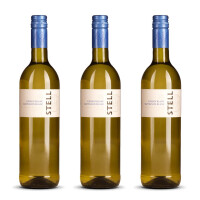 Stellenrust Stell Chenin Blanc / Sauvignon Blanc 2025er Stellenbosch (3 x 0,75l)