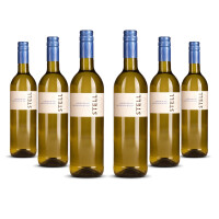 Stellenrust Stell Chenin Blanc / Sauvignon Blanc 2025er Stellenbosch (6 x 0,75l)
