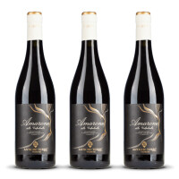 Antiche Terre Venete Amarone della Valpolicella 2022er Veneto (3 x 0,75l)