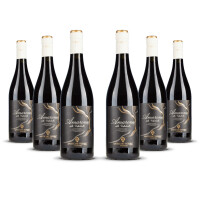 Antiche Terre Venete Amarone della Valpolicella 2022er Veneto (6 x 0,75l)