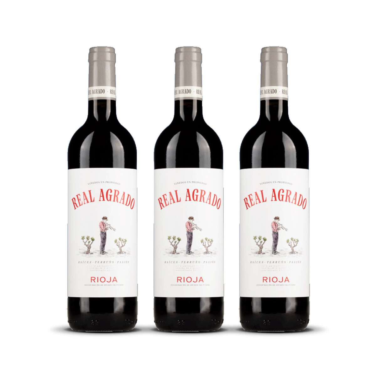 Real Agrado Rioja Tinto 2024er Rioja (3 x 0,75l)
