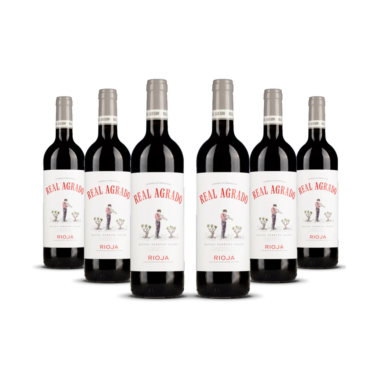Real Agrado Rioja Tinto 2024er Rioja (6 x 0,75l)